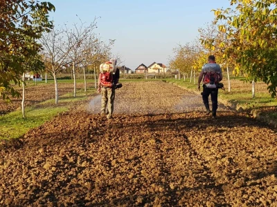 Agroinova FAZOS: Usjevi pod orahom
