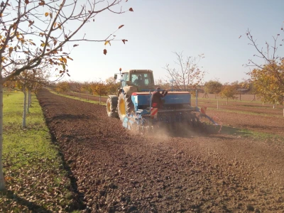 Agroinova FAZOS: Usjevi pod orahom