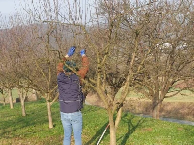 Agronom Živkovic