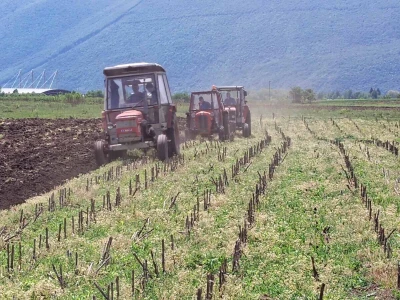 Akcija oranja u Izačiću