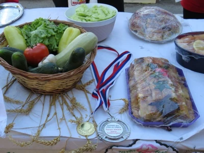 Aktiv žena Kočićevo