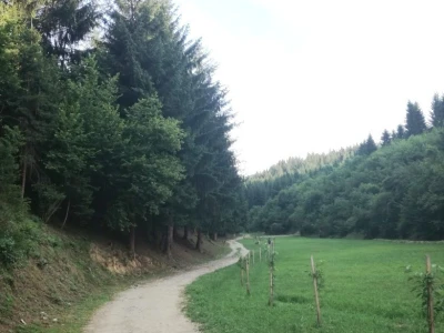 Aleja voća uz šetnicu
