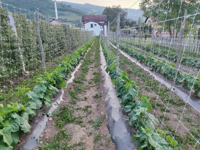 Alen Bašić- Donji Vakuf