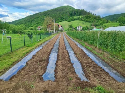 Alen Bašić- Donji Vakuf