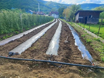 Alen Bašić- Donji Vakuf