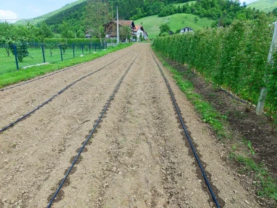 Alen Bašić- Donji Vakuf
