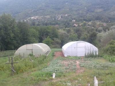 Almir Hodžić: Proširit ću plasteničku proizvodnju, jer se domaći proizvodi sve više cijene