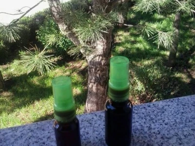 Pčelarstvom grade zajedničku budućnost