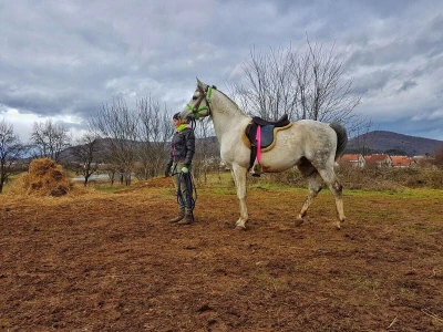 Ana Jergović, ljubiteljica životinja