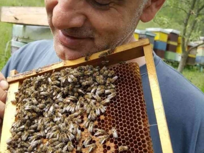Apiterapija Samir Baralija