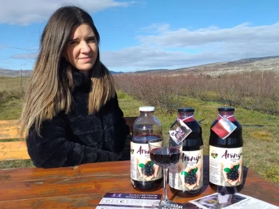 Aronija - egzotična voćka od koje se može pristojno živjeti u BiH