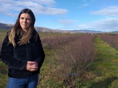 Aronija - egzotična voćka od koje se može pristojno živjeti u BiH