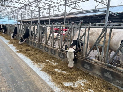Automatizirana mliječna farma koja proizvodi vlastitu energiju