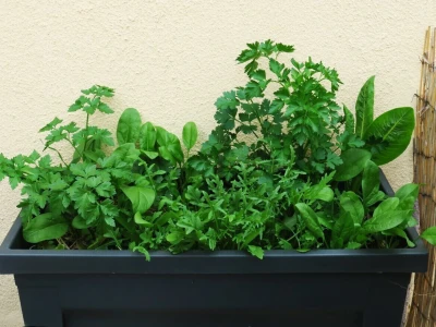 Balkon kao inspiracija