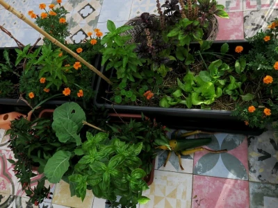 Balkon kao inspiracija