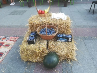 Bamija fest