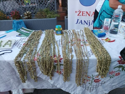 Bamija fest Brčko 2022.