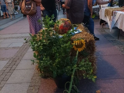 Bamija fest Brčko 2022.