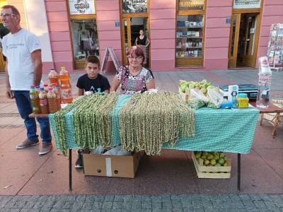 Bamija fest Brčko 2022.