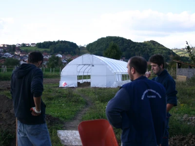 Željeli su zdravo povrće - danas ga sami sade