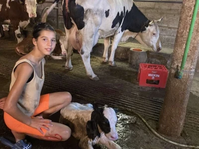 Belkisa Porčić na farmi u Krivaji kod Cazina