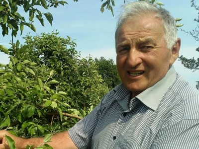 Berba jabuka u Srpskoj