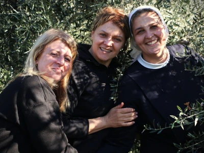 BERBA MASLINA U HERCEGOVINI