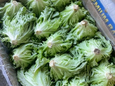 berba salate