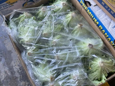 berba salate