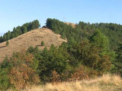 Berba trave Ive
