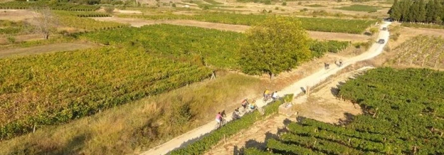 Biciklima kroz vinograde