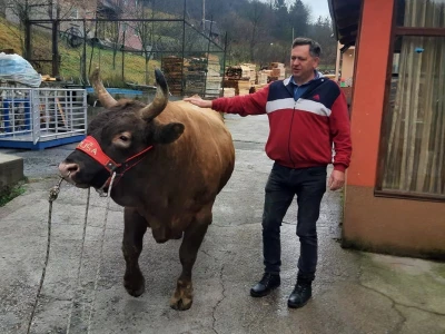 Bik Medonja