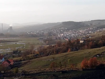 Bikovi porodice Lučić