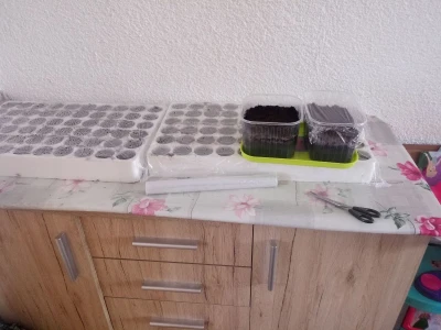 bila puna iskušenja i problema, drugu smo uspješno savladali