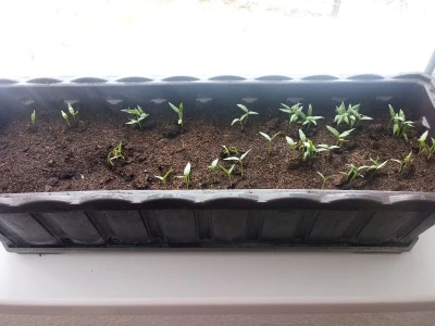 bila puna iskušenja i problema, drugu smo uspješno savladali