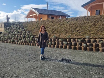 Borovnica