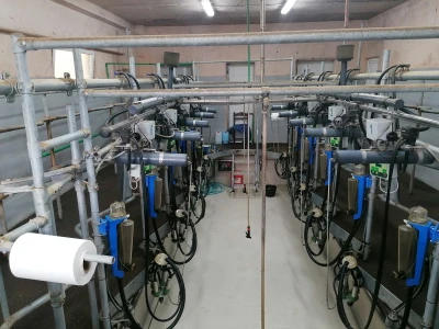 Bosanska farma od milion maraka - krave s nanogicama, domaćin u papučama
