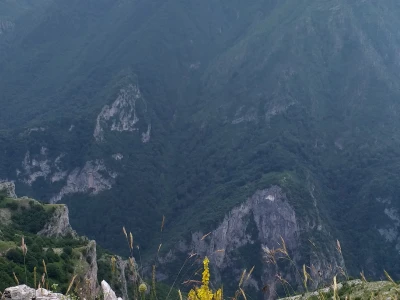 Bosanski biser - selo sa stotinjak ljudi i 5.000 ovaca