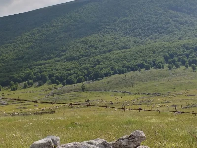 Bosanski biser - selo sa stotinjak ljudi i 5.000 ovaca