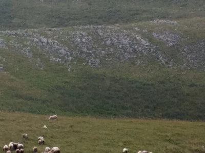 Bosanski biser - selo sa stotinjak ljudi i 5.000 ovaca