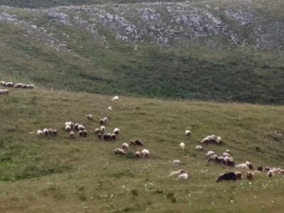 Bosanski biser - selo sa stotinjak ljudi i 5.000 ovaca
