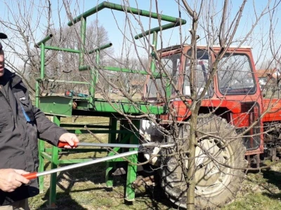 Brod voćnjaci orezivanje