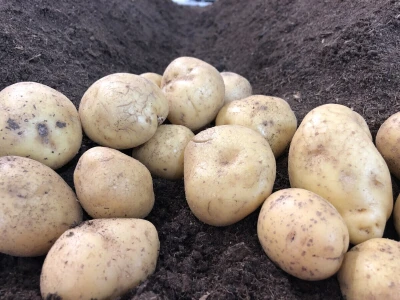 Brussels Expo iznova ugostio AgriBEX, najveći belgijski sajam poljomehanizacije