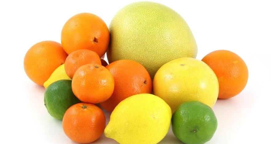 Citrusi