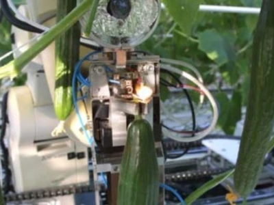 Cucumber Harvester