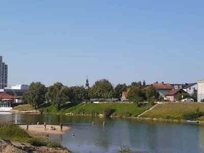 Čuvari Sane čuvaju Sanu