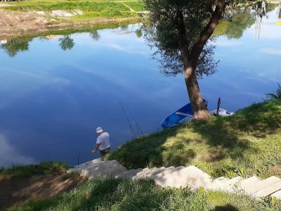 Čuvari Sane čuvaju Sanu