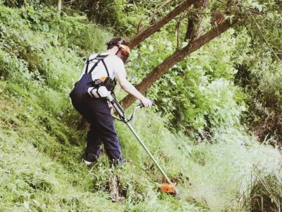 Čuvari Sane čuvaju Sanu
