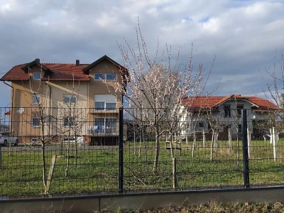 Cvjetanje voća