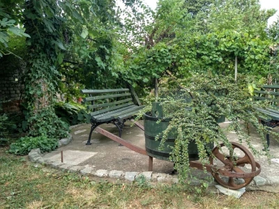 Cvjetni vrt Milice Arsić iz Topole, pobjednice konkursa #najokućnica Agrokluba
